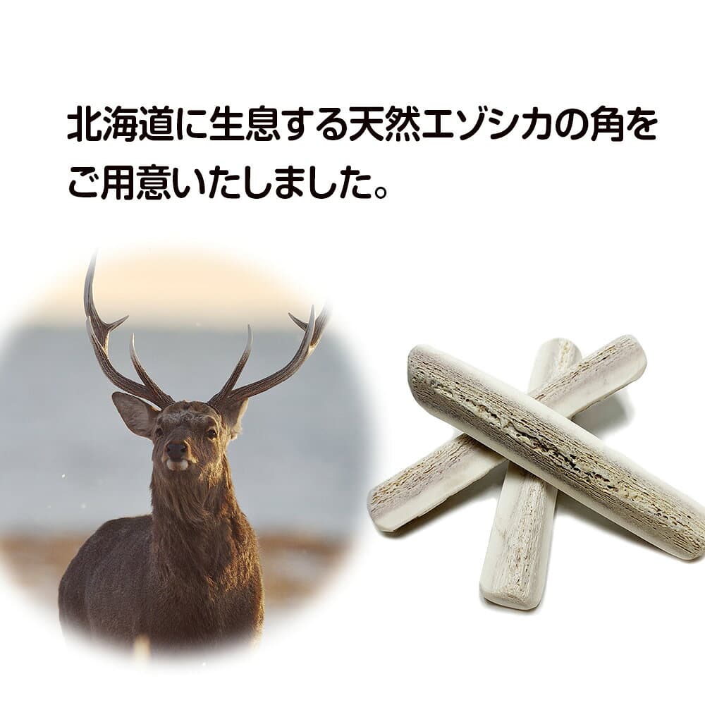 【ふるさと納税】鹿の角 エゾシカ 犬のおもちゃ 『鹿角さん』 中型犬用 割っていないタイプ 1本 CB040犬 ペット おもちゃ 鹿角 エゾシカ ドッグガム 北海道 北海道ふるさと納税 白老 ふるさと納税 北海道 thumbnail 2