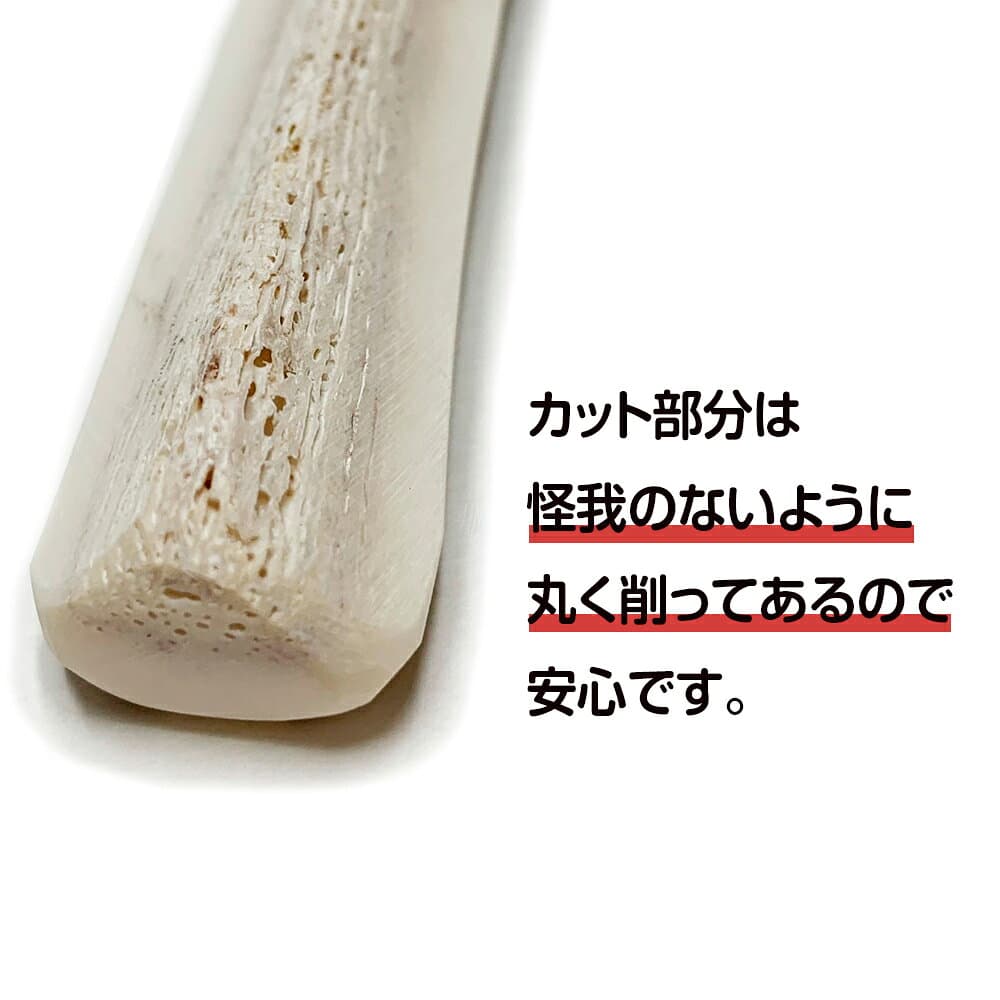 【ふるさと納税】鹿の角 エゾシカ 犬のおもちゃ 『鹿角さん』 小型犬用　四つ割り　1本犬 ペット おもちゃ 鹿角 エゾシカ ドッグガム 北海道 北海道ふるさと納税 白老 ふるさと納税 北海道 thumbnail 3