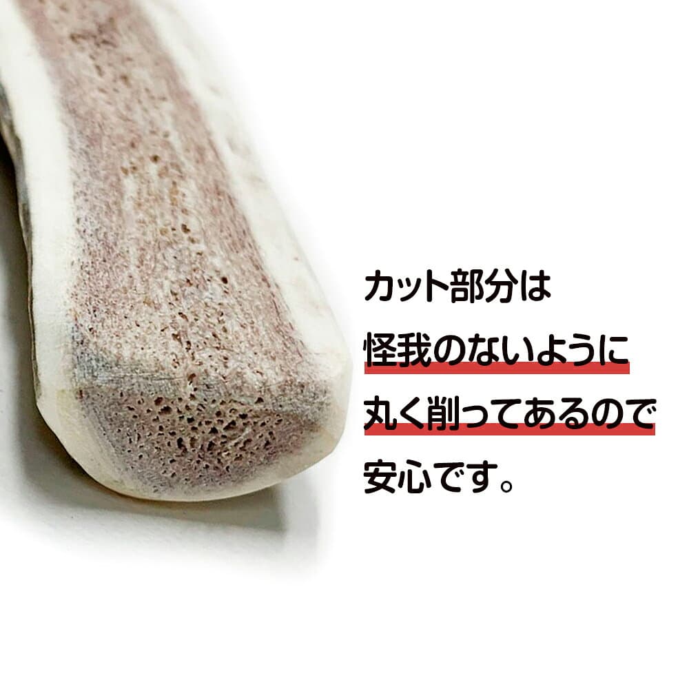 【ふるさと納税】鹿の角 エゾシカ 犬のおもちゃ 『鹿角さん』 小型犬用　半割り　1本犬 ペット おもちゃ 鹿角 エゾシカ ドッグガム 北海道 北海道ふるさと納税 白老 ふるさと納税 北海道 thumbnail 3