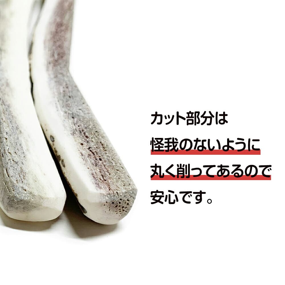 【ふるさと納税】鹿の角 エゾシカ 犬のおもちゃ 『鹿角さん』 小型犬用　四つ割りロング　2本セット犬 ペット おもちゃ 鹿角 エゾシカ ドッグガム 北海道 北海道ふるさと納税 白老 ふるさと納税 北海道 thumbnail 3