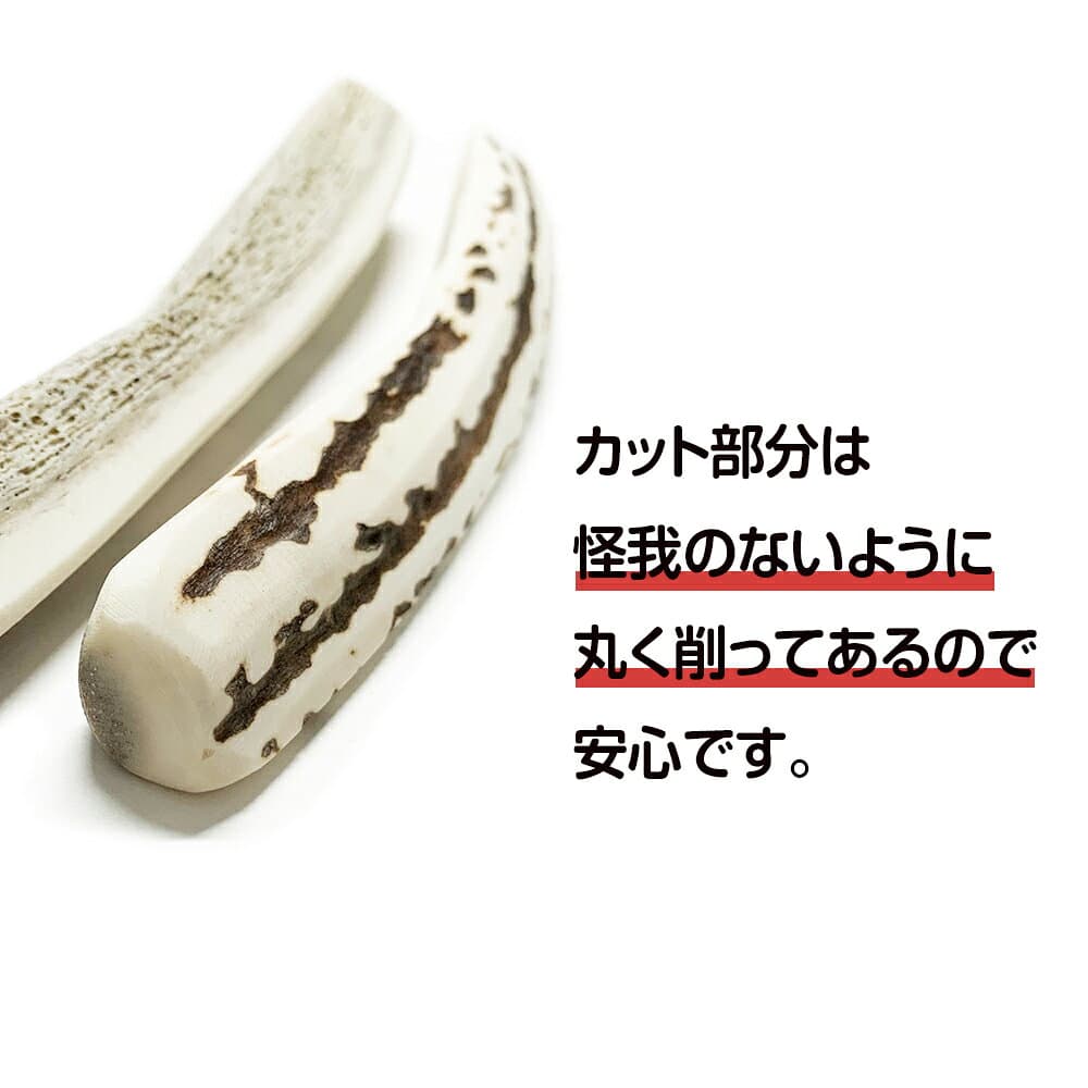 【ふるさと納税】鹿の角 エゾシカ 犬のおもちゃ 『鹿角さん』 中型犬用　四つ割り　1本犬 ペット おもちゃ 鹿角 エゾシカ ドッグガム 北海道 北海道ふるさと納税 白老 ふるさと納税 北海道 thumbnail 3
