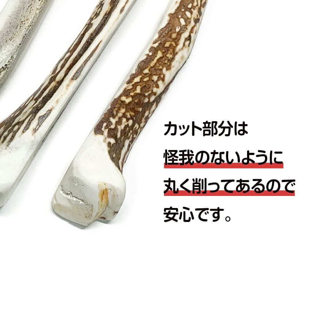 【ふるさと納税】鹿の角 エゾシカ 犬のおもちゃ 『鹿角さん』 中型犬〜大型犬用　四つ割りロング　2本セット犬 ペット おもちゃ 鹿角 エゾシカ ドッグガム 北海道 北海道ふるさと納税 白老 ふるさと納税 北海道 thumbnail 3