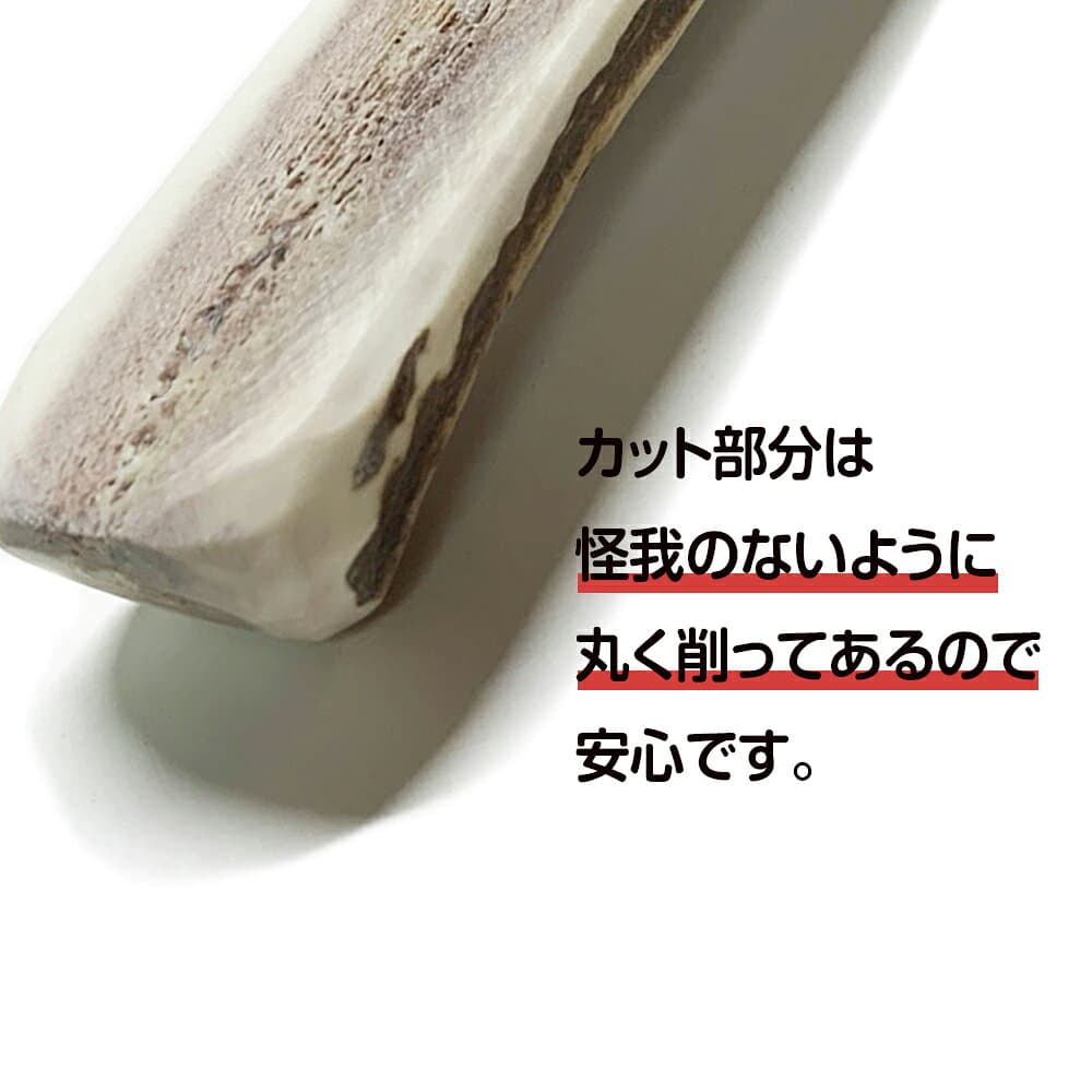【ふるさと納税】鹿の角 エゾシカ 犬のおもちゃ 『鹿角さん』 大型犬用　半割り　2本セット犬 ペット おもちゃ 鹿角 エゾシカ ドッグガム 北海道 北海道ふるさと納税 白老 ふるさと納税 北海道 thumbnail 3