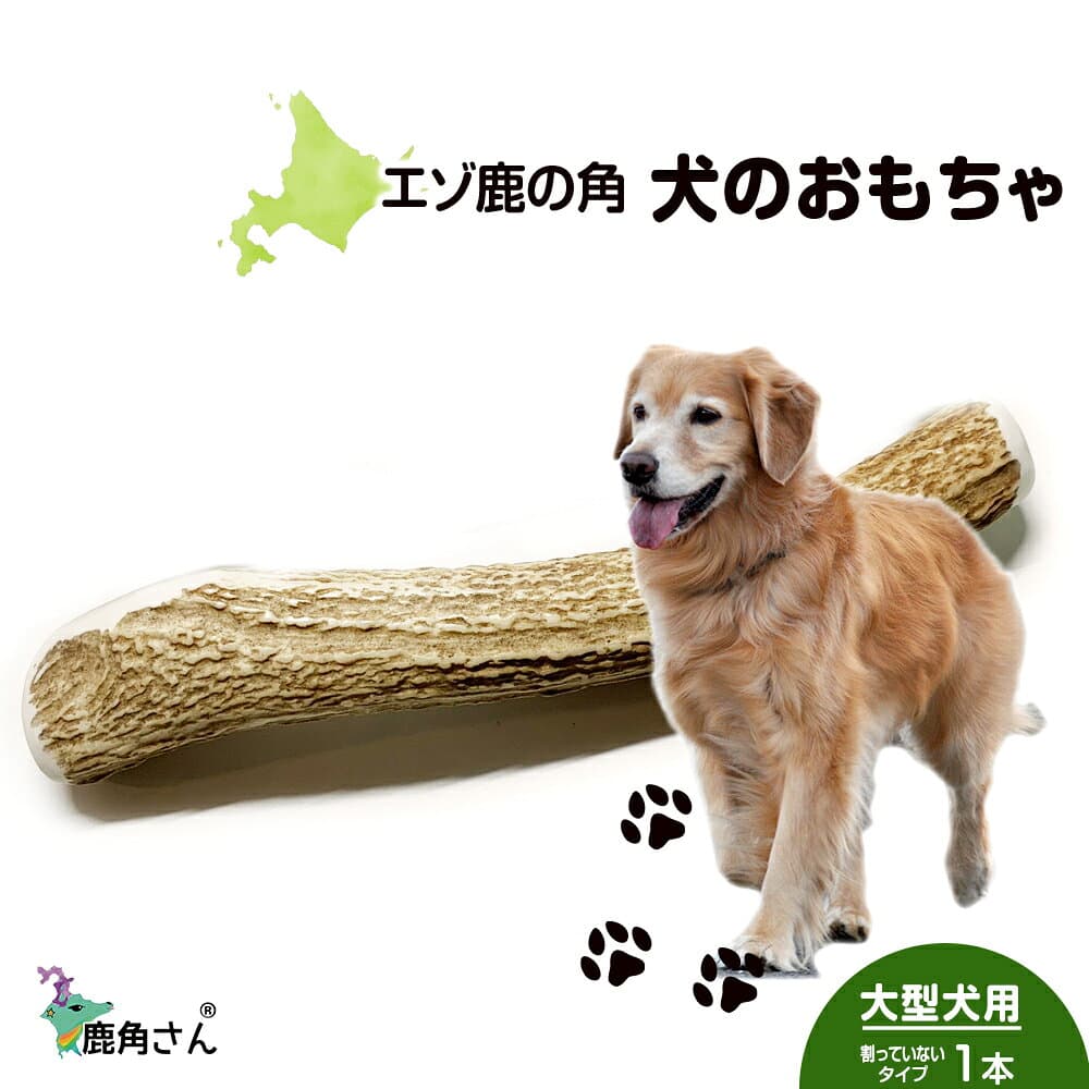 【ふるさと納税】鹿の角 エゾシカ 犬のおもちゃ 『鹿角さん』 大型犬用　割っていないタイプ　1本犬 ペット おもちゃ 鹿角 エゾシカ ドッグガム 北海道 北海道ふるさと納税 白老 ふるさと納税 北海道