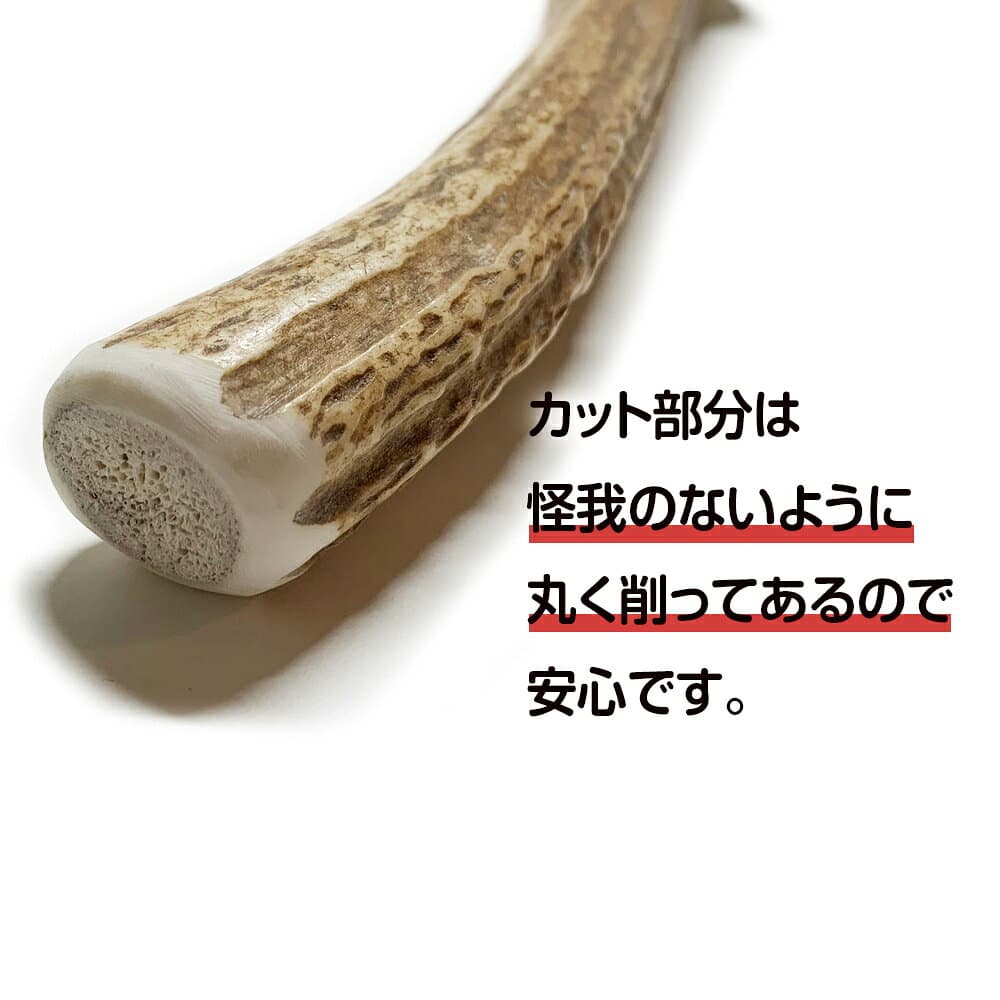 【ふるさと納税】鹿の角 エゾシカ 犬のおもちゃ 『鹿角さん』 大型犬用　割っていないタイプ　1本犬 ペット おもちゃ 鹿角 エゾシカ ドッグガム 北海道 北海道ふるさと納税 白老 ふるさと納税 北海道 thumbnail 3