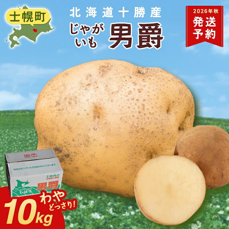 【ふるさと納税】【10月より順次配送予定】じゃがいも 10kg 北海道 十勝 男爵だんしゃく 男爵いも 男爵薯 ジャガイモ じゃがいも 芋 ポテト 北海道 十勝産 大容量 自宅用 家族 お弁当 まとめ買い ギフト 贈り物 お取り寄せ 送料無料 十勝 士幌町 9000円