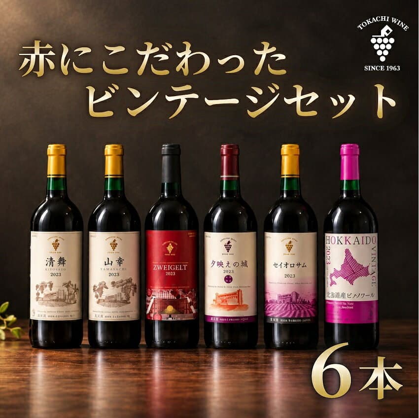 【ふるさと納税】十勝ワイン 赤にこだわったビンテージ6本セット 北海道ワイン 国産ワイン ヴィンテージ ビンテージ 厳選 人気 受賞 山幸 おすすめ 高品質 セレクション 送料無料 ふるさと納 北海道池田町