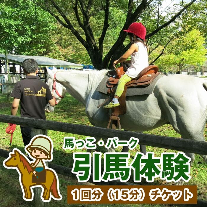 【ふるさと納税】 引馬 体験 おすすめ 引馬体験 チケット 1回分 ／ ふれあい 引き馬 乗馬 馬 ホース ホースセラピー 動物 アニマル アニマルセラピー セラピー 癒し 体験チケット 観光 遊び お出掛け アクティビティ 子供 大人 岩手県 滝沢市 送料無料 馬っこパーク・いわて