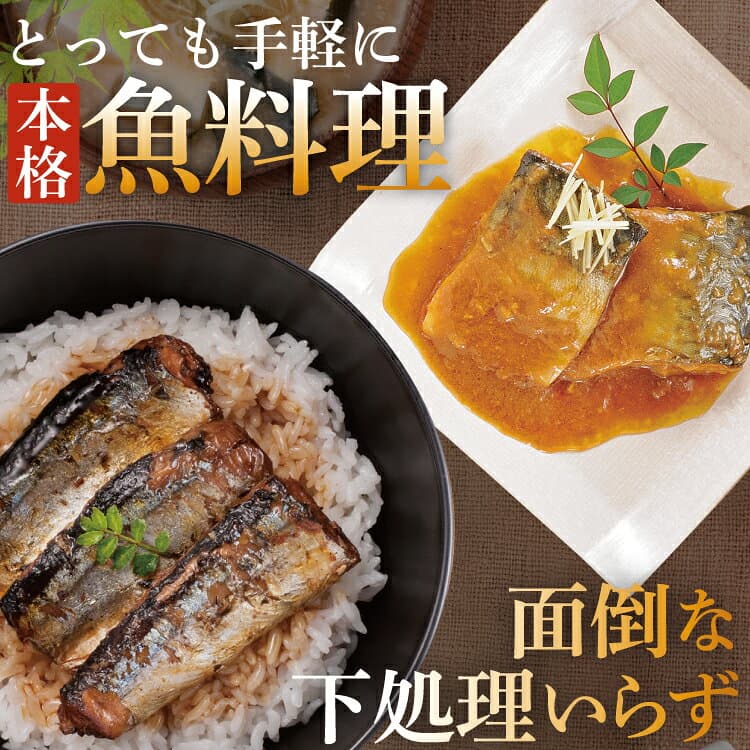 【ふるさと納税】 三陸食堂 煮魚 惣菜 セット 【選べる種類】 [阿部長商店 宮城県 気仙沼市 20566163] 簡単調理 レトルト 魚 レンジ 長期保存 魚料理 和食 常温保存 さんま いわし さば ぶり 蒲焼 味噌煮 つみれ汁 和食 常温保存 個包装 thumbnail 3