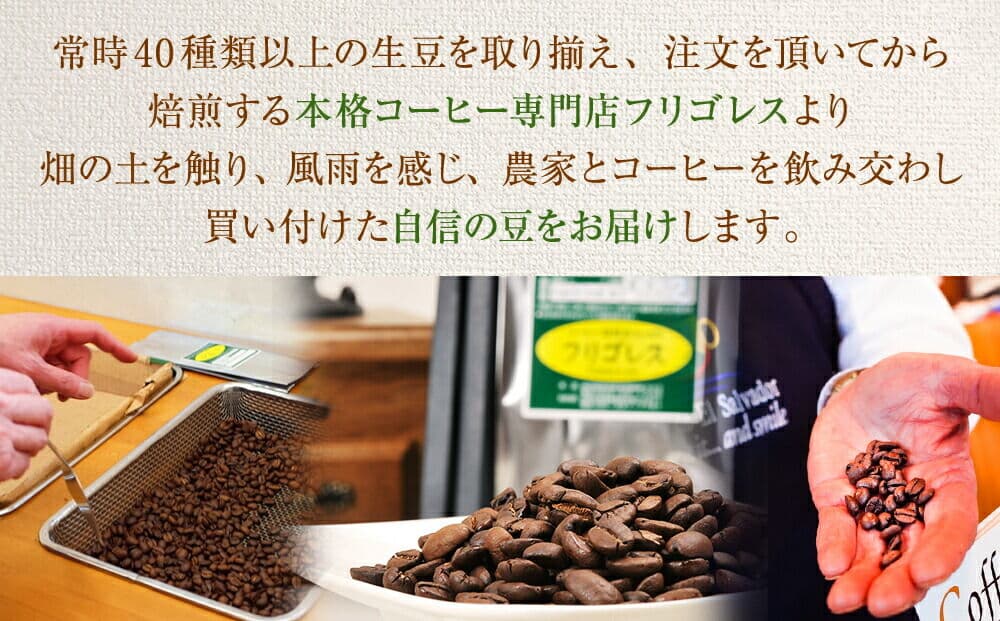 【ふるさと納税】フリゴレス 世界の豆の旅 プレミアム 2種 コーヒーセット 選べる【挽粉／豆】選べるお届け回数【1回〜定期便】 thumbnail 2