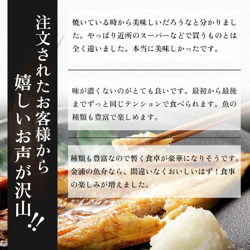 【ふるさと納税】干物セット 秋田のうまいものセットA 《定期便》12ヶ月連続 10品程度 サーモン 魚貝類 一夜干し ぬか漬 秋田県にかほ市　お届け：ご入金の翌月から、毎月10日前後にお届けします。 thumbnail 3