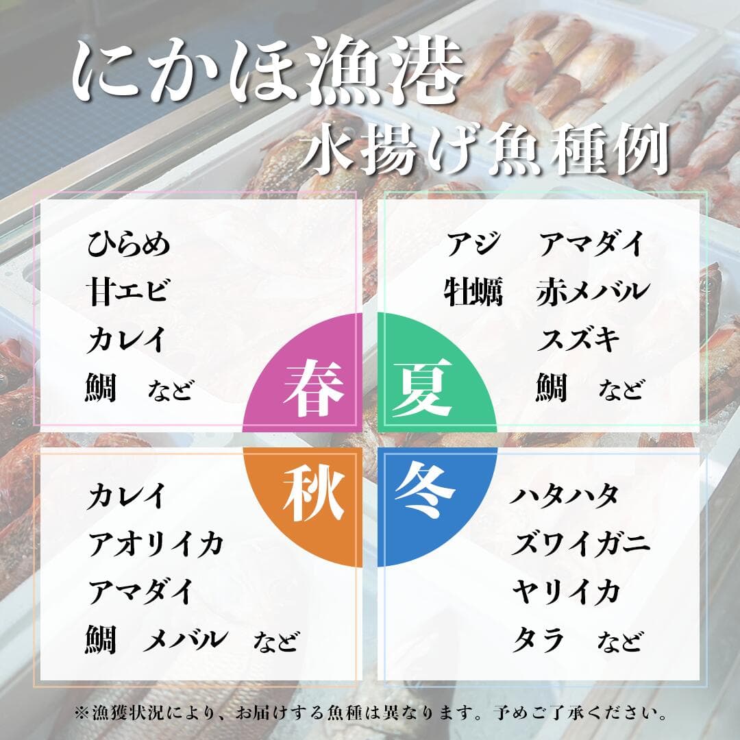 【ふるさと納税】鮮魚 冷蔵 クール便「 開けたらすぐ食べられる下処理済み 海産物 4～5人前 セット 」佐藤鮮魚店【 パック 詰め合わせ 海鮮セット 鮮魚ボックス 海鮮 海の幸 魚介 魚介類 刺身 切り身 秋田県 にかほ 】 thumbnail 3