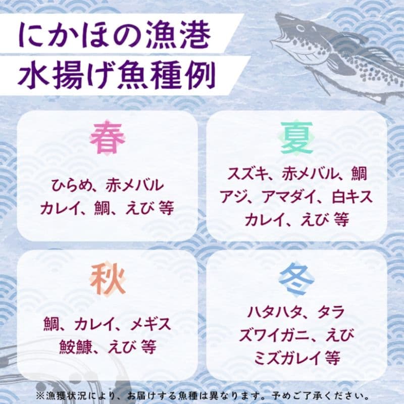 【ふるさと納税】鮮魚 冷蔵 クール便「 開けたらすぐ食べられる下処理済み 海産物 1人前 セット 」さとう鮮魚店【 パック 詰め合わせ 海鮮セット 鮮魚ボックス 海鮮 海の幸 魚介 魚介類 刺身 切り身 秋田県 にかほ 】 thumbnail 2