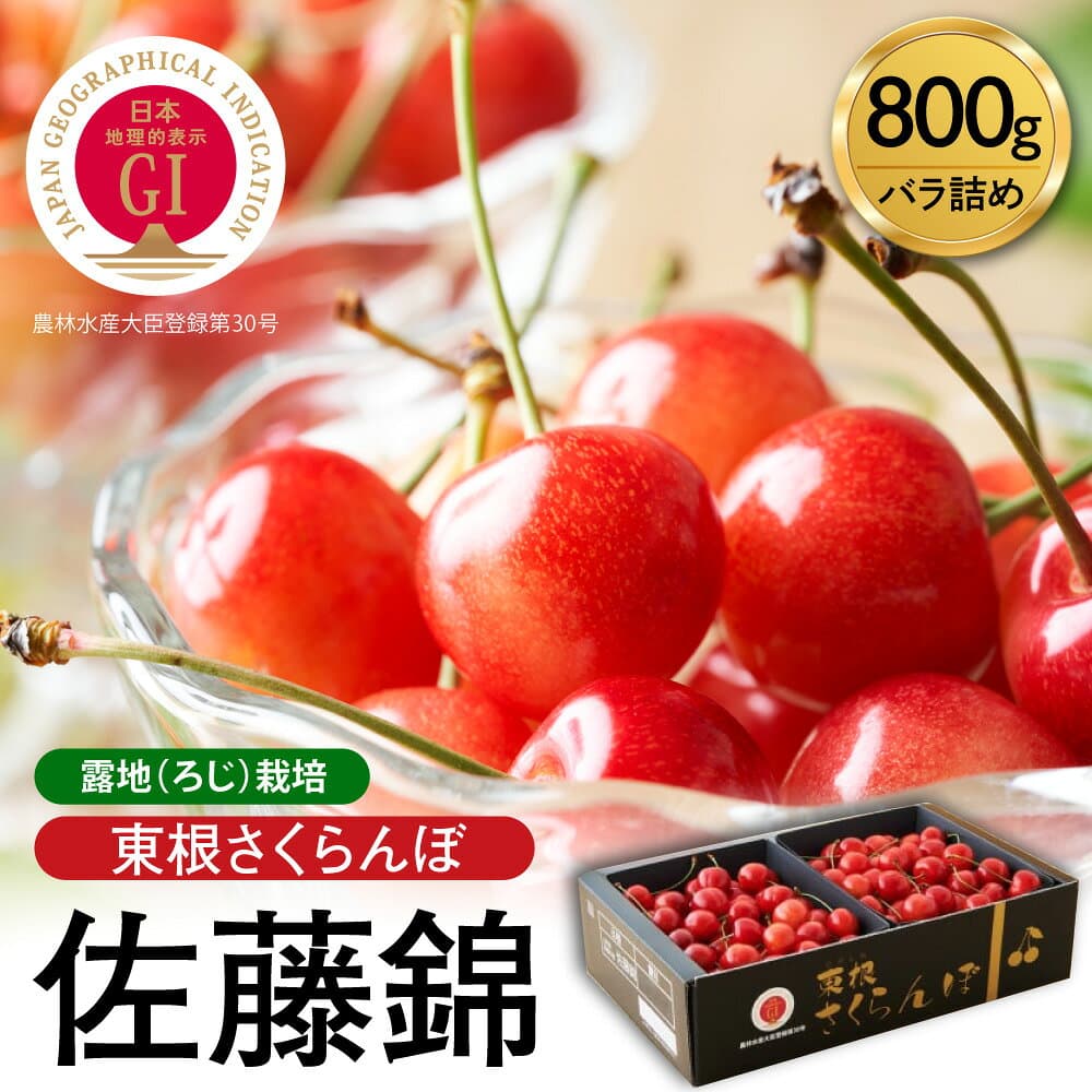 【ふるさと納税】【2027年産 先行予約】★ランキング 1位 獲得★ GI東根 さくらんぼ 佐藤錦 800g バラ詰め / 令和9年産 さくらんぼ サクランボ チェリー フルーツ 果物 くだもの 化粧箱 大容量 ご当地 特産 産地直送 先行予約 期間限定 送料無料 山形県 東根市