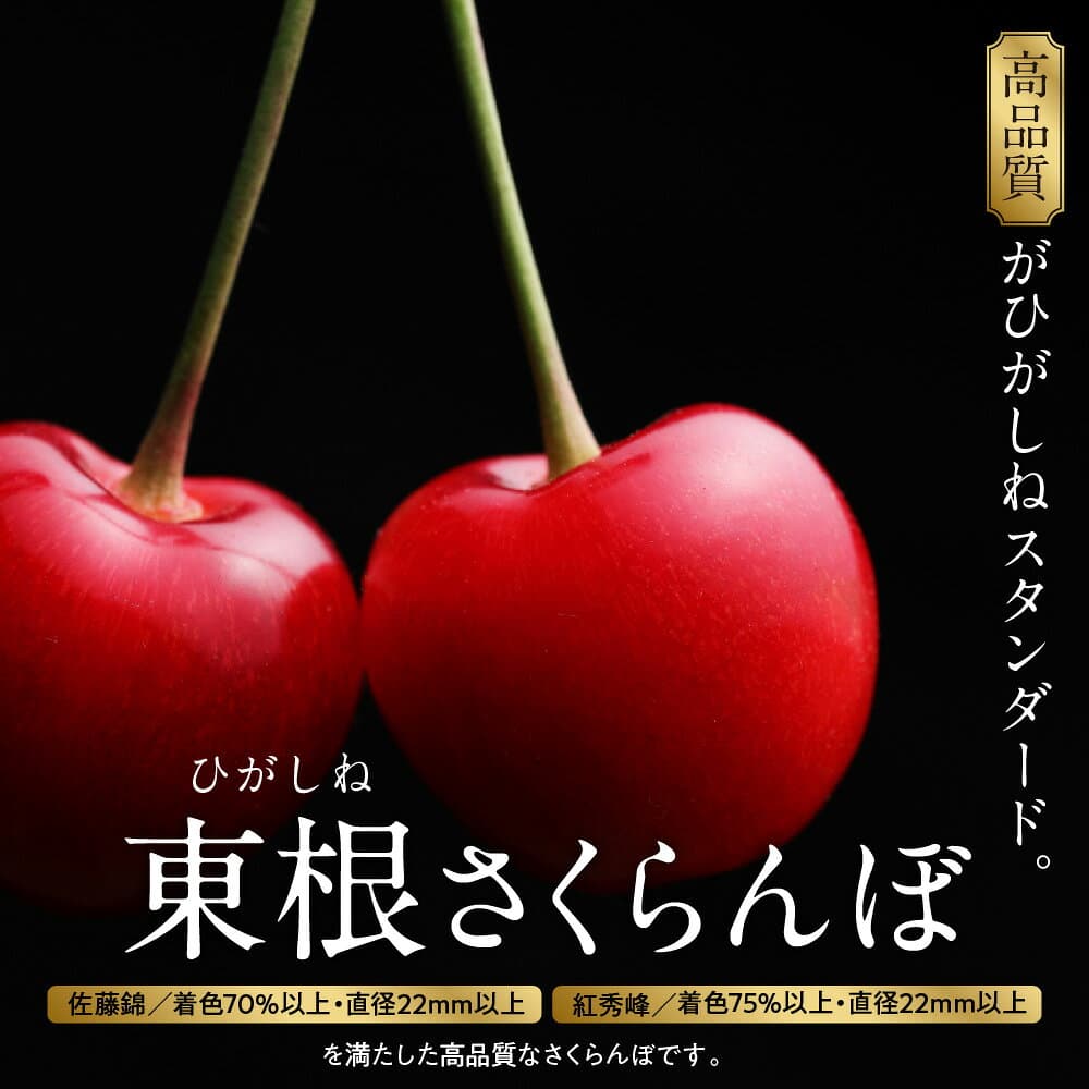 【ふるさと納税】【2027年産 先行予約】★ランキング 1位 獲得★ GI東根 さくらんぼ 佐藤錦 800g バラ詰め / 令和9年産 さくらんぼ サクランボ チェリー フルーツ 果物 くだもの 化粧箱 大容量 ご当地 特産 産地直送 先行予約 期間限定 送料無料 山形県 東根市 thumbnail 3