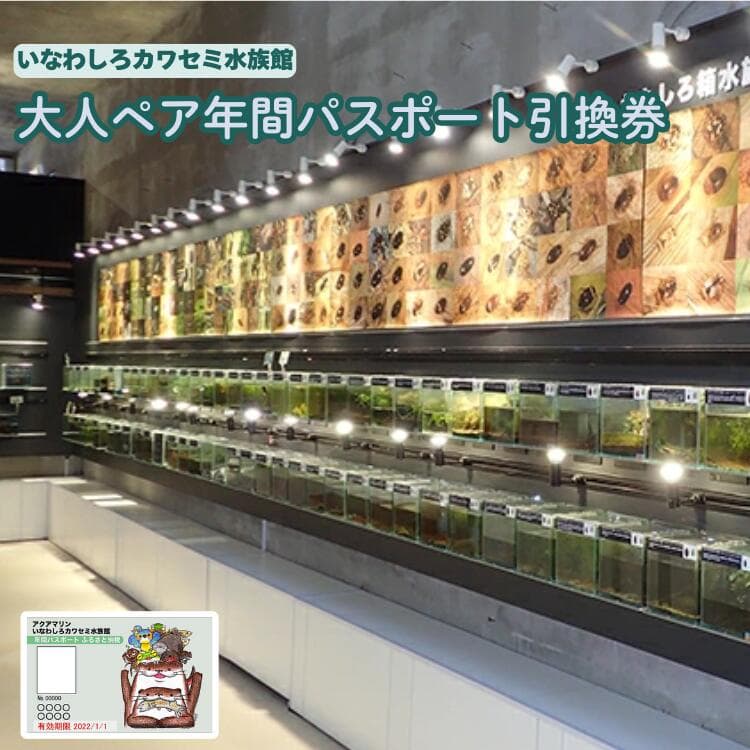 【ふるさと納税】いなわしろカワセミ水族館大人ペア年間パスポート引換券　チケット・入場券・優待券・水族館