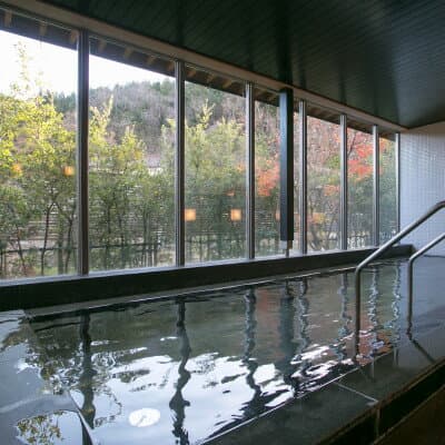 【ふるさと納税】湯の田温泉　村民保養施設「さぎり荘」(日帰り温泉)入浴券　10枚【1585758】