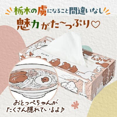 【ふるさと納税】【15箱入り】栃木の魅力ティッシュボックス150w×15箱　※配送不可地域:離島・沖縄_ 消耗品 日用品 箱入り まとめ買い 栃木県 人気 おすすめ 送料無料 【配送不可地域：離島・沖縄県】【1454534】 thumbnail 2