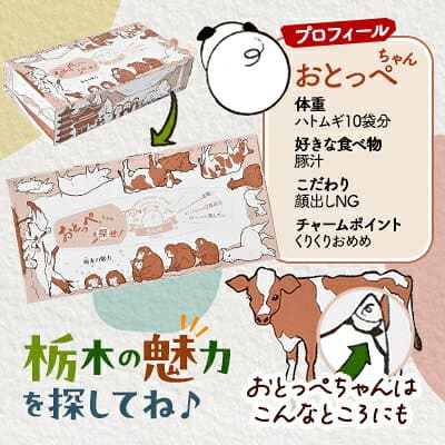【ふるさと納税】【15箱入り】栃木の魅力ティッシュボックス150w×15箱　※配送不可地域:離島・沖縄_ 消耗品 日用品 箱入り まとめ買い 栃木県 人気 おすすめ 送料無料 【配送不可地域：離島・沖縄県】【1454534】 thumbnail 3