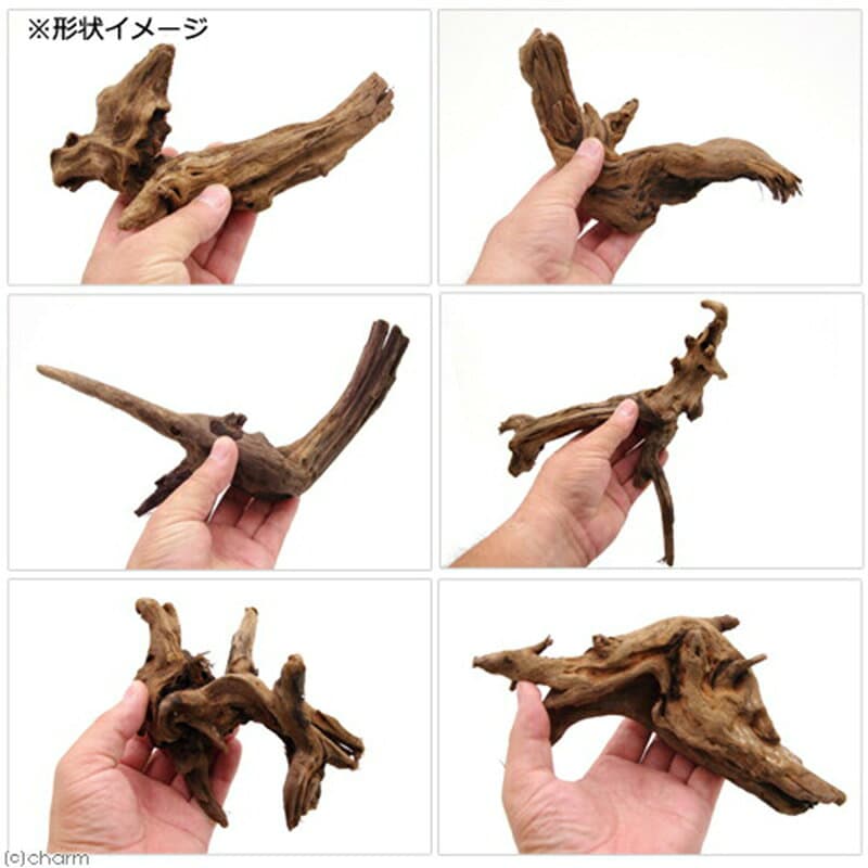 【ふるさと納税】上質流木 雅〜みやび〜 Sサイズ（約15〜25cm）3本 [株式会社チャーム charm 形状お任せ 煮込み済み アクアリウム テラリウム レイアウト素材 ペット] thumbnail 2
