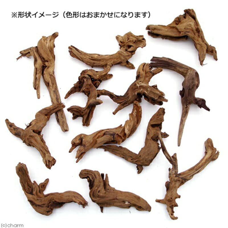 【ふるさと納税】上質流木 雅〜みやび〜 Sサイズ（約15〜25cm）3本 [株式会社チャーム charm 形状お任せ 煮込み済み アクアリウム テラリウム レイアウト素材 ペット] thumbnail 3
