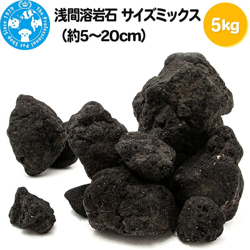 【ふるさと納税】浅間溶岩石 サイズミックス（約5〜20cm）5kg [株式会社チャーム charm 形状お任せ アクアリウム テラリウム レイアウト素材 ペット]