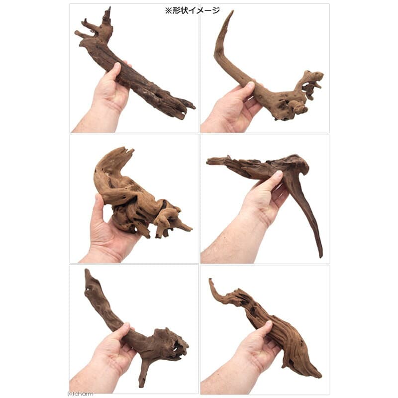【ふるさと納税】上質流木 雅〜みやび〜 サイズミックス（約25〜40cm）5本 [形状お任せ 煮込み済み アクアリウム 流木 テラリウム 水槽 爬虫類 両生類 熱帯魚 ペット用品 株式会社チャーム charm ペット] thumbnail 2