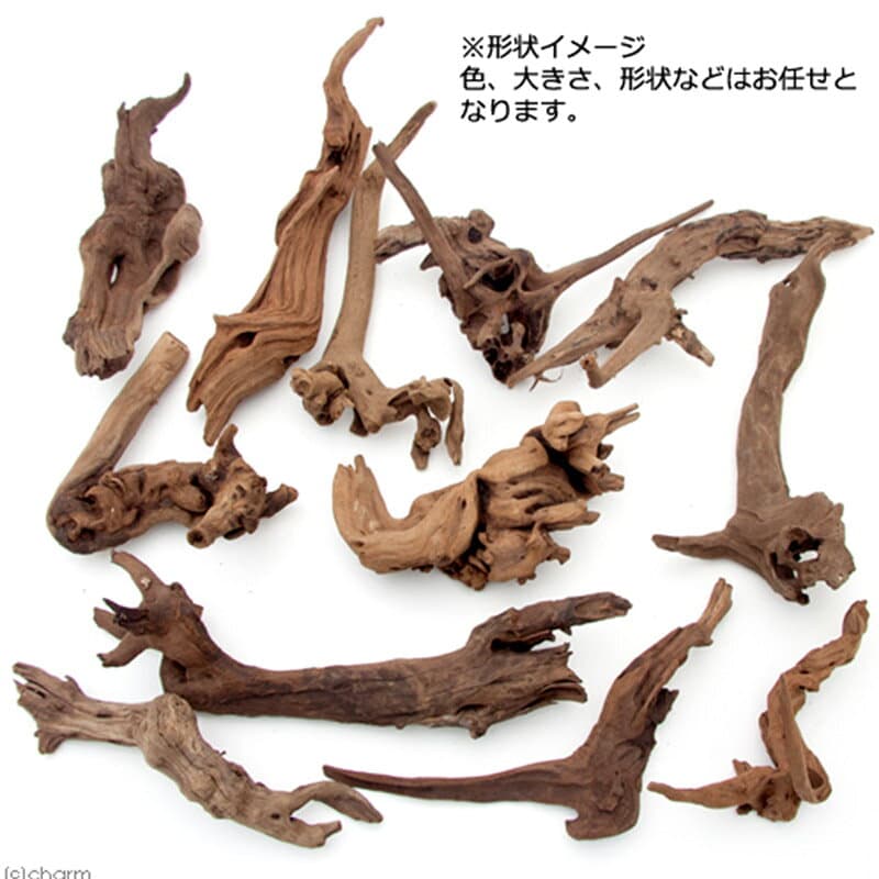 【ふるさと納税】上質流木 雅〜みやび〜 サイズミックス（約25〜40cm）5本 [形状お任せ 煮込み済み アクアリウム 流木 テラリウム 水槽 爬虫類 両生類 熱帯魚 ペット用品 株式会社チャーム charm ペット] thumbnail 3