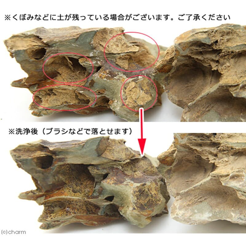 【ふるさと納税】陽火石 サイズミックス（約5〜30cm）10kg [形状お任せ アクアリウム 流木 テラリウム 水槽 爬虫類 両生類 熱帯魚 ペット用品 60cm水槽向け 株式会社チャーム charm ペット] thumbnail 3