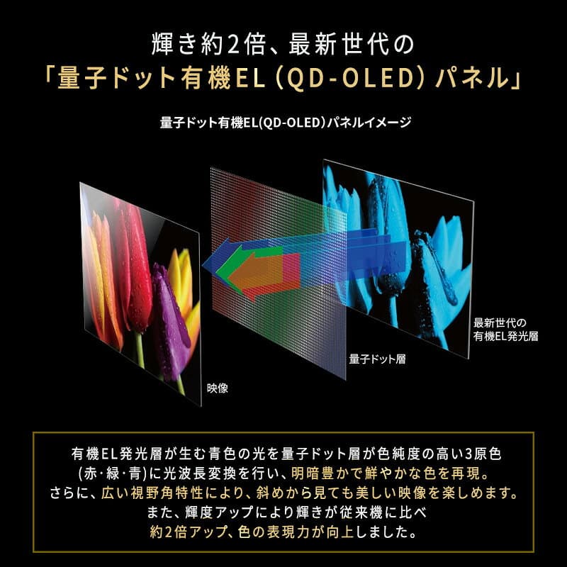 【ふるさと納税】量子ドット有機ELテレビ SHARP 65V型 4T-C65HS1 AQUOS アクオス QD-OLED パネル ハイトスピーカー アプリダイレクトボタン ネット動画対応 シャープ 千葉県千葉市 thumbnail 2