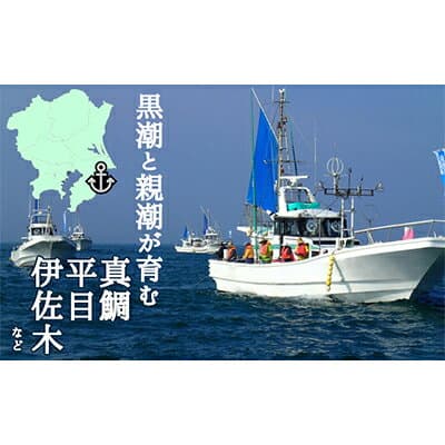 【ふるさと納税】釣り船乗船券1名様(10,000円分)_ 釣り船 乗船券 チケット 釣り フィッシング 海釣り 千葉県 いすみ市 体験 レジャー ギフト 人気 おすすめ【1395872】 thumbnail 2