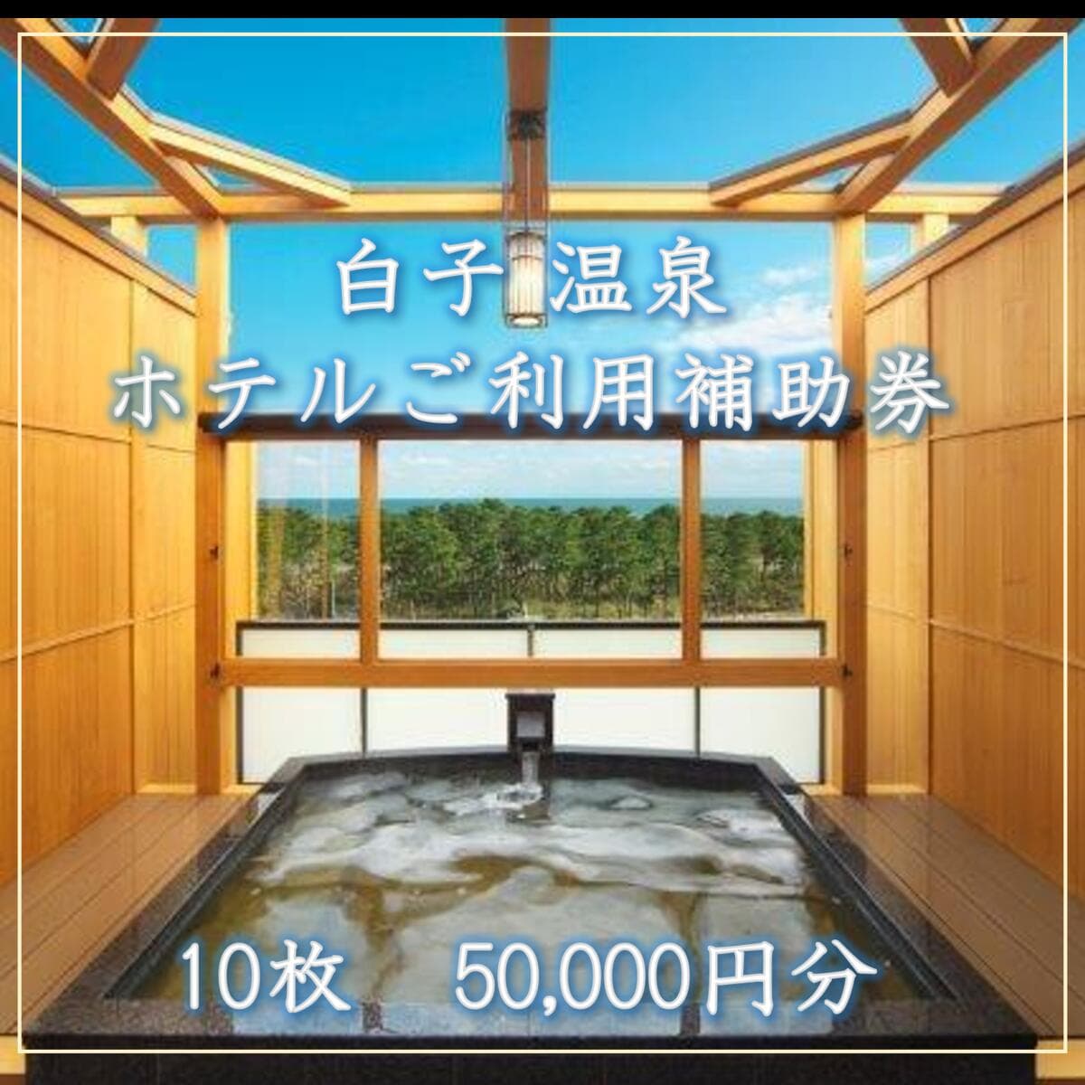 【ふるさと納税】【温泉総選挙5位】白子温泉ホテルご利用補助券 10枚 ふるさと納税 ホテル 温泉 宿泊 旅行 トラベル 宿泊券 千葉県 白子町 贈答 送料無料 SHP005