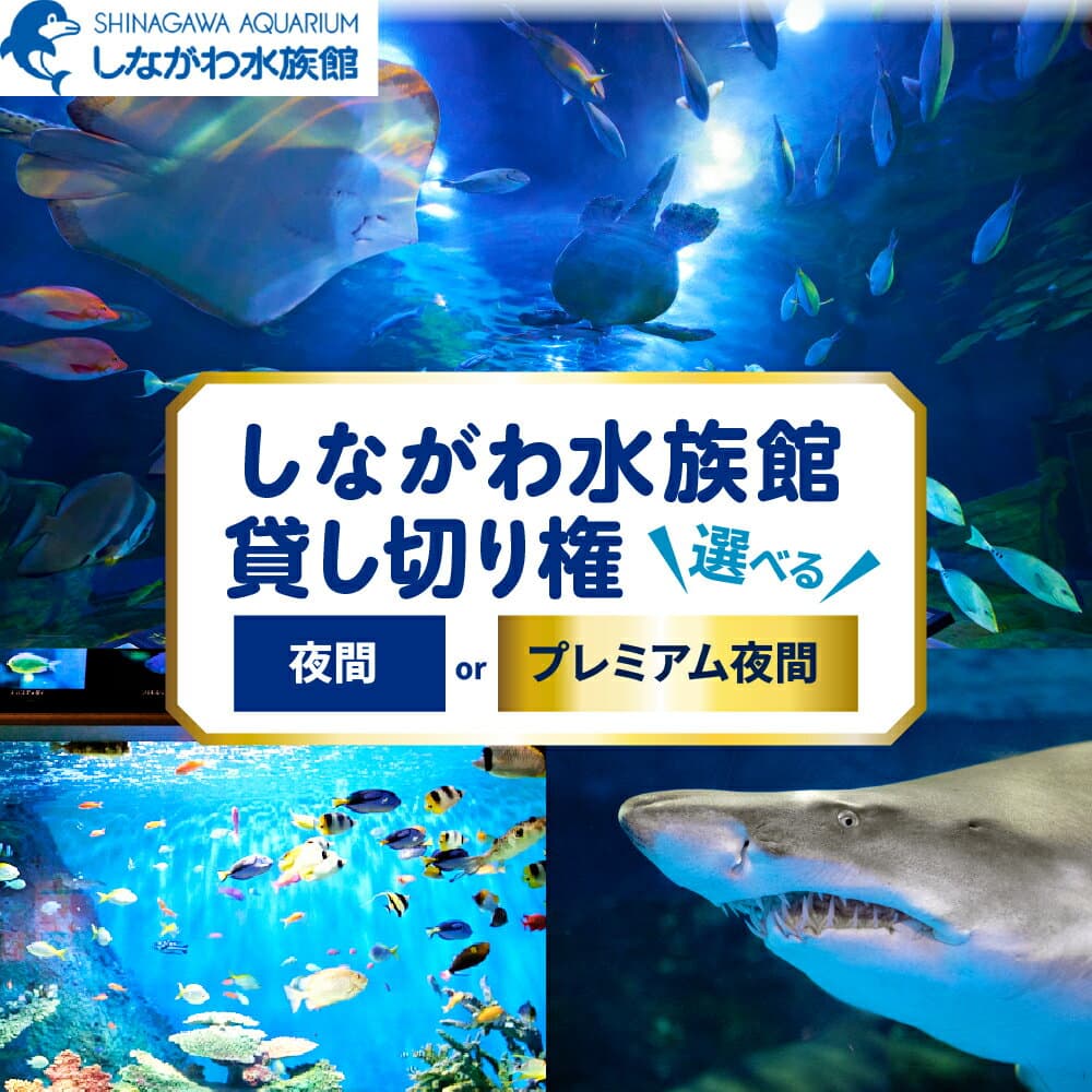 【ふるさと納税】 しながわ水族館 貸し切り権 ( 選べる種類 : 夜間 / プレミアム夜間 )/ 水族館 貸し切り 人気 オススメ ギフト プレゼント 贈答 贈り物 プロポーズ 送料無料 東京都 品川区