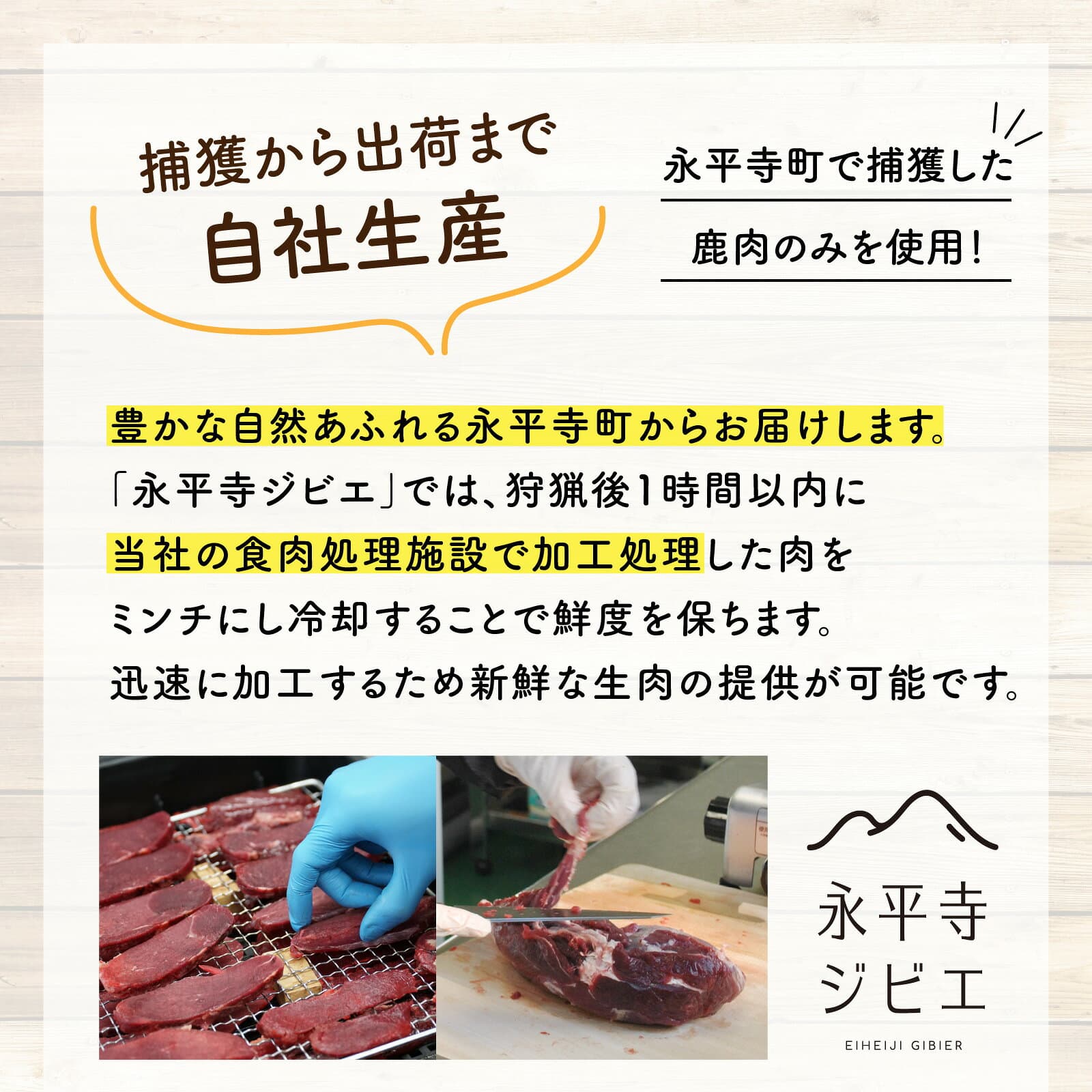 【ふるさと納税】犬用鹿肉生肉ミンチ 合計1kg 25g×20キューブx2パック ドッグフード 鹿肉 国産 1kg 小分け 保存料不使用 着色料 不使用 無添加 生肉 健康 ジビエ 低脂肪 ダイエット シニア 高齢犬 老犬 永平寺 福井 ウェステックスジャパン 森のごはん [B-036006] thumbnail 2
