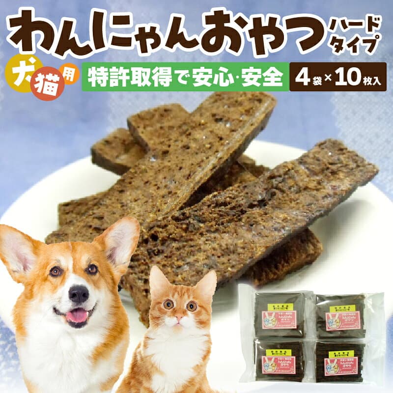 【ふるさと納税】 【高評価★5.0】 犬 猫 おやつ 無添加 国産 特許取得 ドライフード ペットフード キャットフード 乾燥タイプ マグロ 鮪 アシタバ 明日葉 k019-002 thumbnail 2