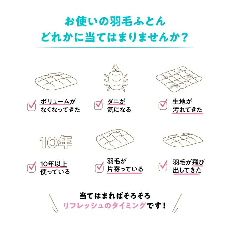 【ふるさと納税】 羽毛布団 リフォーム リフレッシュサービス 選べるサイズ シングル セミダブル ダブル クイーン キング 選べる配送月 布団洗浄 仕立て直し 打直し 防ダニ マザーグースダウン プレミアム 羽毛リフレッシュ ふとん 布団 寝具 【甲州羽毛ふとん】 thumbnail 3