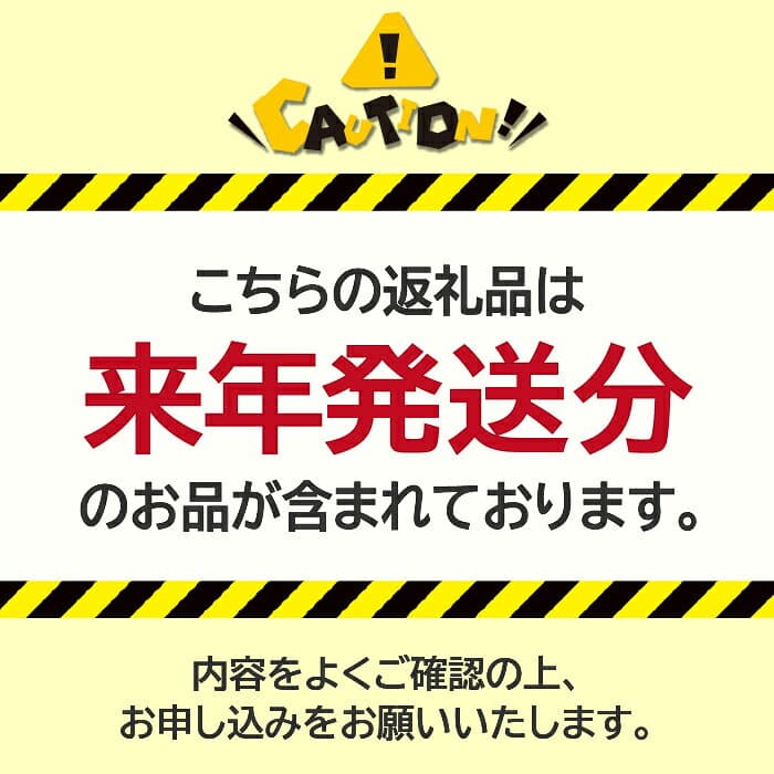 【ふるさと納税】【2027年(令和9年)発送先行予約】来年発送！！★TBSテレビ系列「ひるおび」で取り上げられました！★ 絶品！南アルプス市産シャインマスカット【選べるサイズ】 おすすめ 山梨県 南アルプス市 フルーツ 送料無料 thumbnail 2