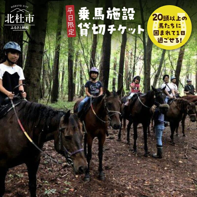 【ふるさと納税】 乗馬 貸切 チケット 貸切チケット 乗馬体験 平日限定 最大25名様 グループ ファミリー 家族 馬20頭以上 体験 送料無料