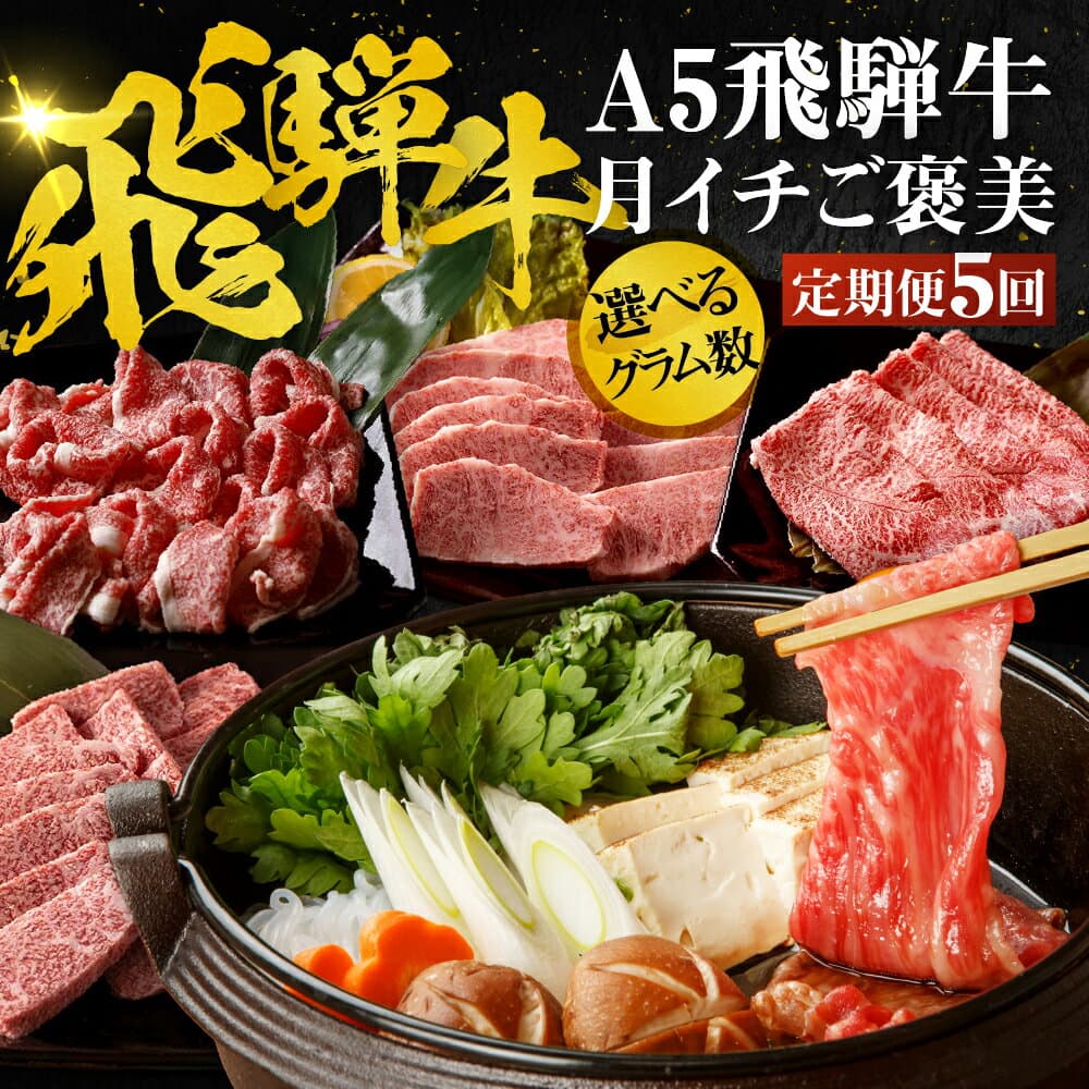 【ふるさと納税】 ＼高評価★4.88／A5飛騨牛 定期便 5回 ちょこちょこお届け（焼肉・すき焼き など）5カ月☆ 飛騨牛 牛肉 肉 お肉 ランキング 黒毛和牛 希少部位 国産 厳選 ブランド牛 人気 高級 岐阜県 大垣市