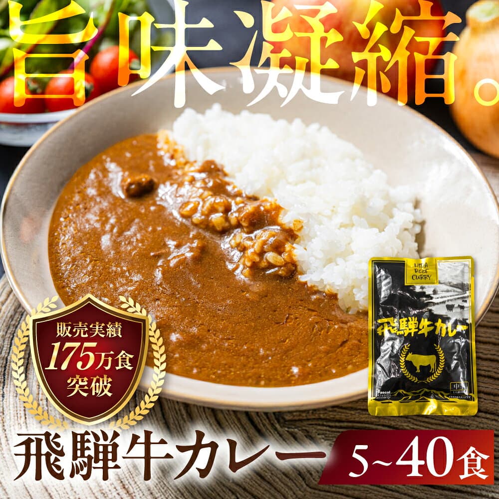 【ふるさと納税】訳あり 飛騨牛カレー (5袋、12袋、25袋、40袋) | 常温配送 10,000円 訳あり 簡易包装 飛騨牛 肉 牛 カレー ビーフカレー レトルトカレー レトルト 惣菜 ご当地カレー 人気 時短 即席 備蓄 常温保存 常備食 ランキング 便利 飛騨高山 ふるさと清見 DC006VP