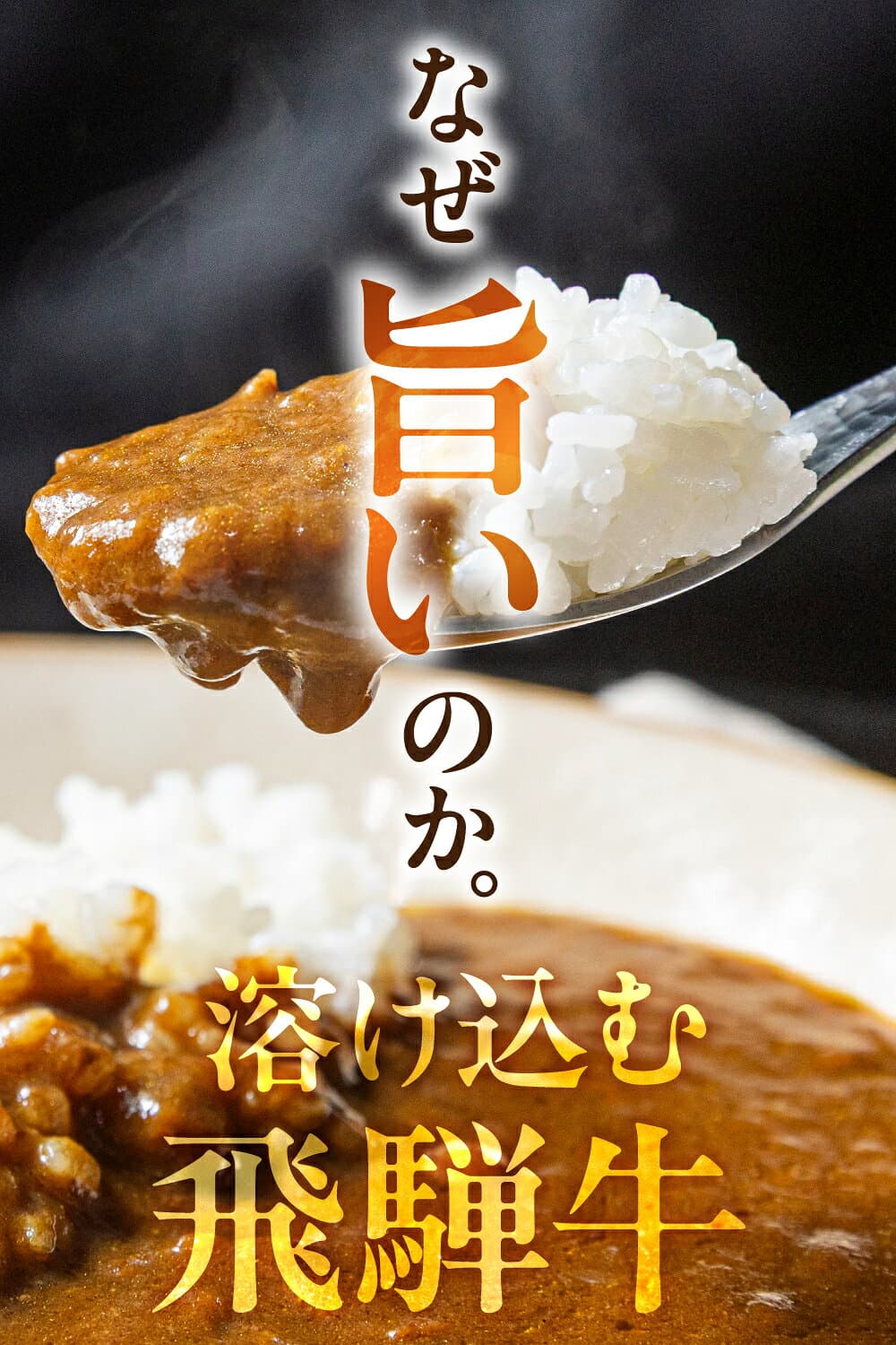 【ふるさと納税】訳あり 飛騨牛カレー (5袋、12袋、25袋、40袋) | 常温配送 10,000円 訳あり 簡易包装 飛騨牛 肉 牛 カレー ビーフカレー レトルトカレー レトルト 惣菜 ご当地カレー 人気 時短 即席 備蓄 常温保存 常備食 ランキング 便利 飛騨高山 ふるさと清見 DC006VP thumbnail 2