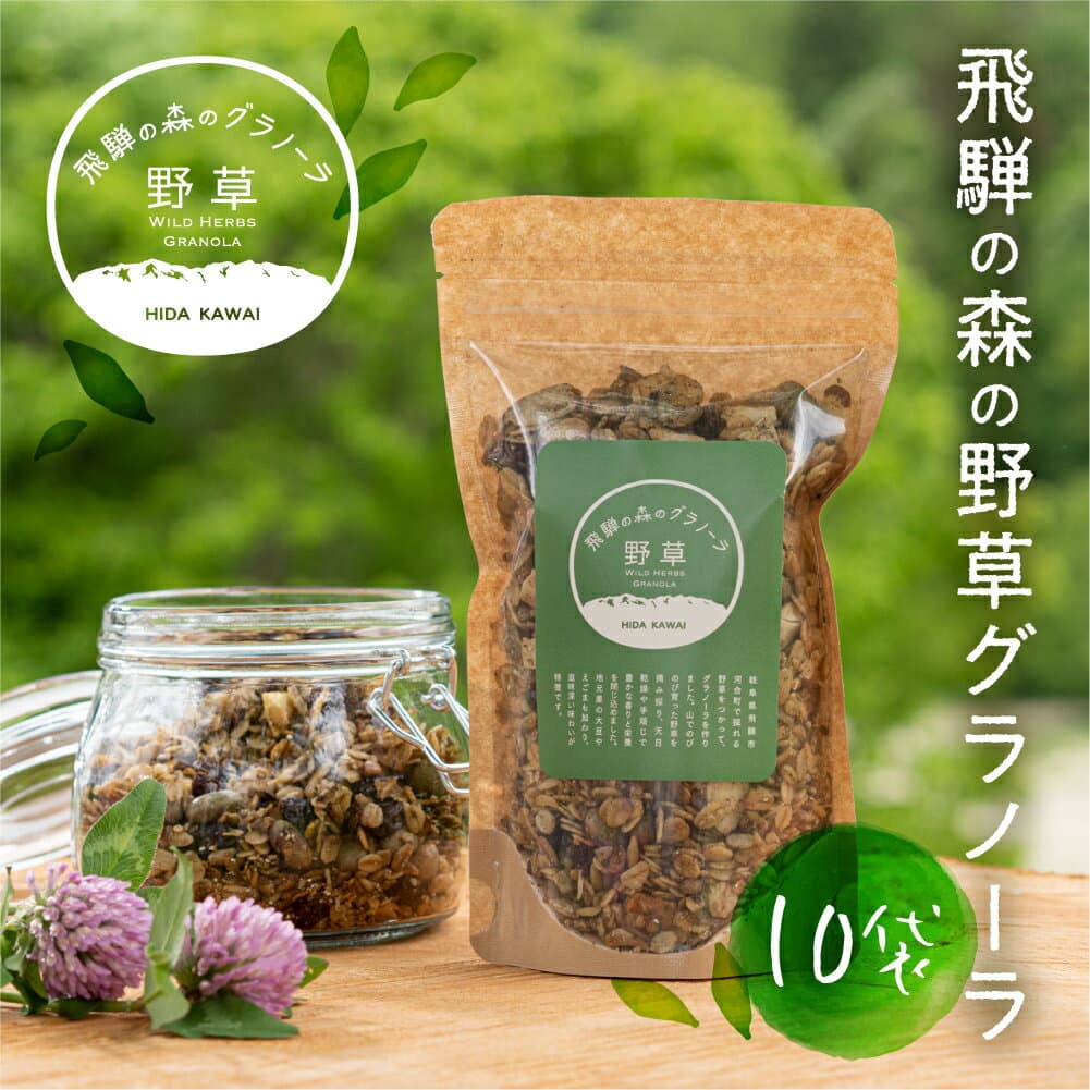 【ふるさと納税】飛騨産野草が入った飛騨の森の グラノーラ　10袋 オートミール 無添加 シリアル 自然派 ハトムギ [Q860x] スイーツ プレゼント
