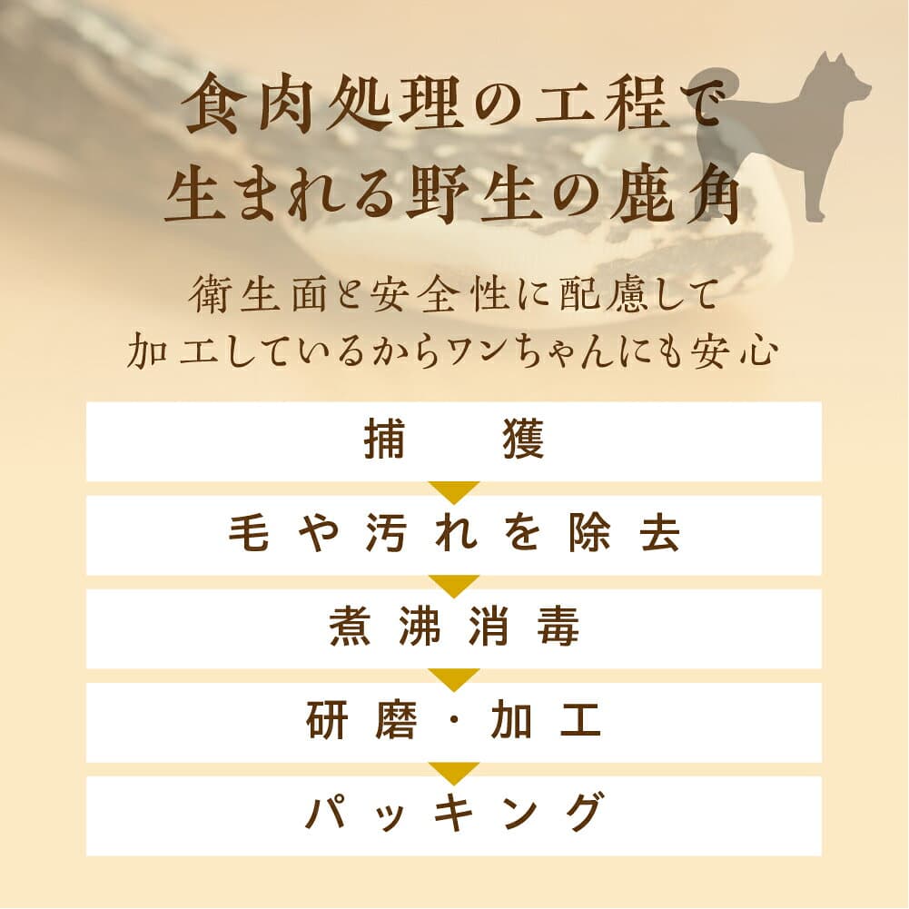 【ふるさと納税】鹿角 犬用 歯磨きガム 10cm 2本 小型犬用 デンタルケア おもちゃ ペット用品 犬 消毒済み 国産 天然 [mt1805] 7000円 thumbnail 3