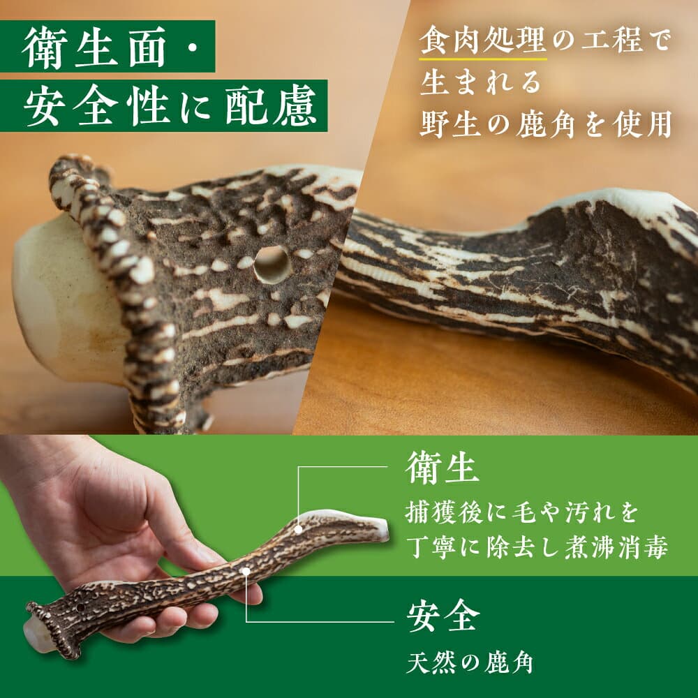 【ふるさと納税】鹿角 犬用 歯磨きガム 10cm 2本 小型犬用 デンタルケア おもちゃ ペット用品 犬 消毒済み 国産 天然 [mt1805] 7000円 thumbnail 2
