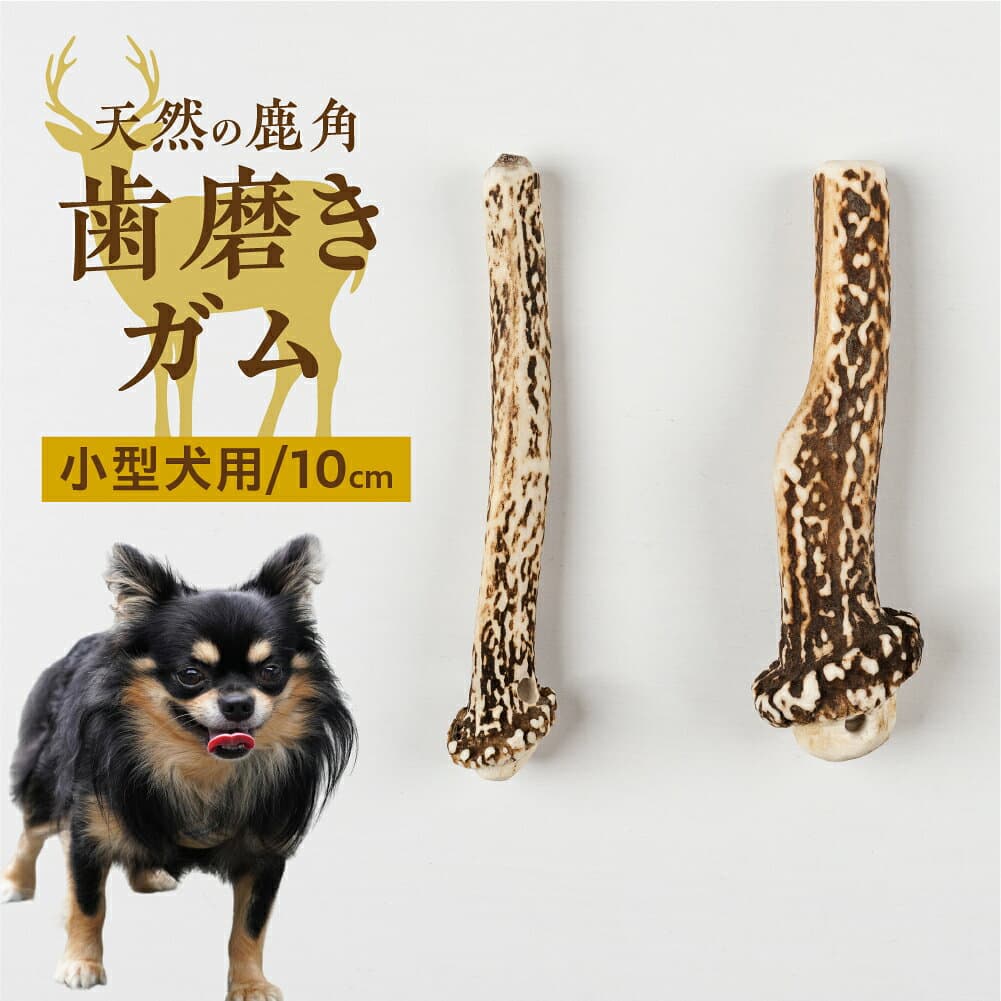【ふるさと納税】鹿角 犬用 歯磨きガム 10cm 2本 小型犬用 デンタルケア おもちゃ ペット用品 犬 消毒済み 国産 天然 [mt1805] 7000円