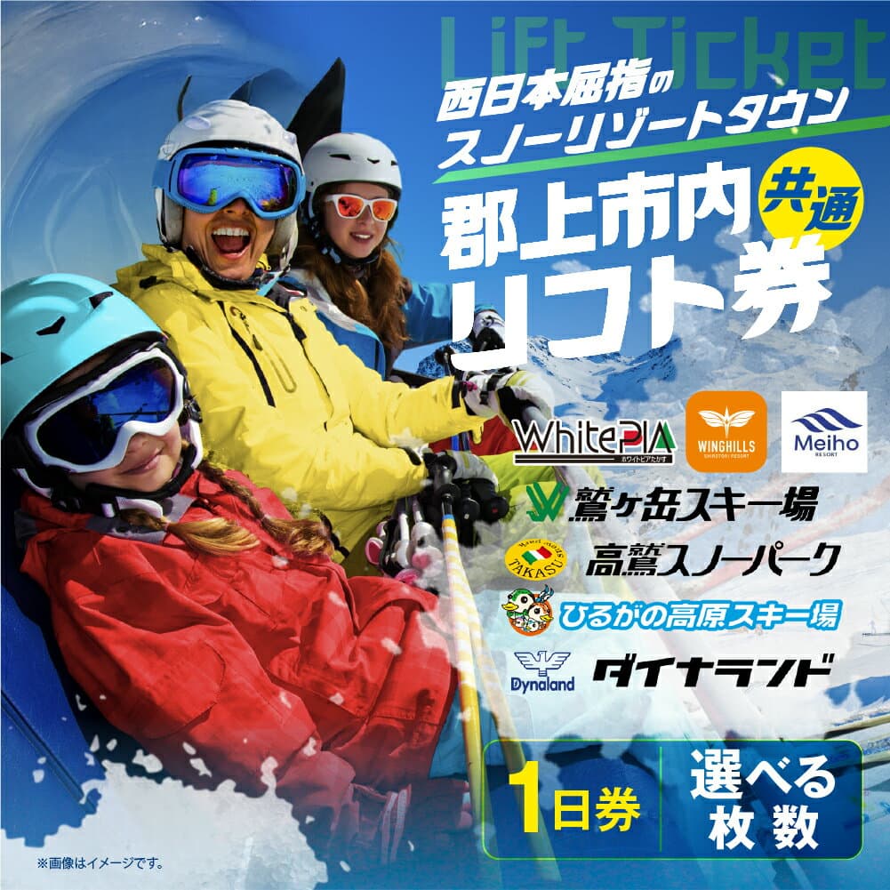 【ふるさと納税】岐阜県郡上市 スキー場 共通リフト1日券 リフト券 引換券（1枚〜10枚）高鷲・白鳥・明宝エリア対応 ダイナランド・高鷲スノーパーク・めいほう・鷲ヶ岳・ホワイトピア・ウイングヒルズ白鳥・ひるがの あとから選べる 20000円 40000円 10万円 2万円