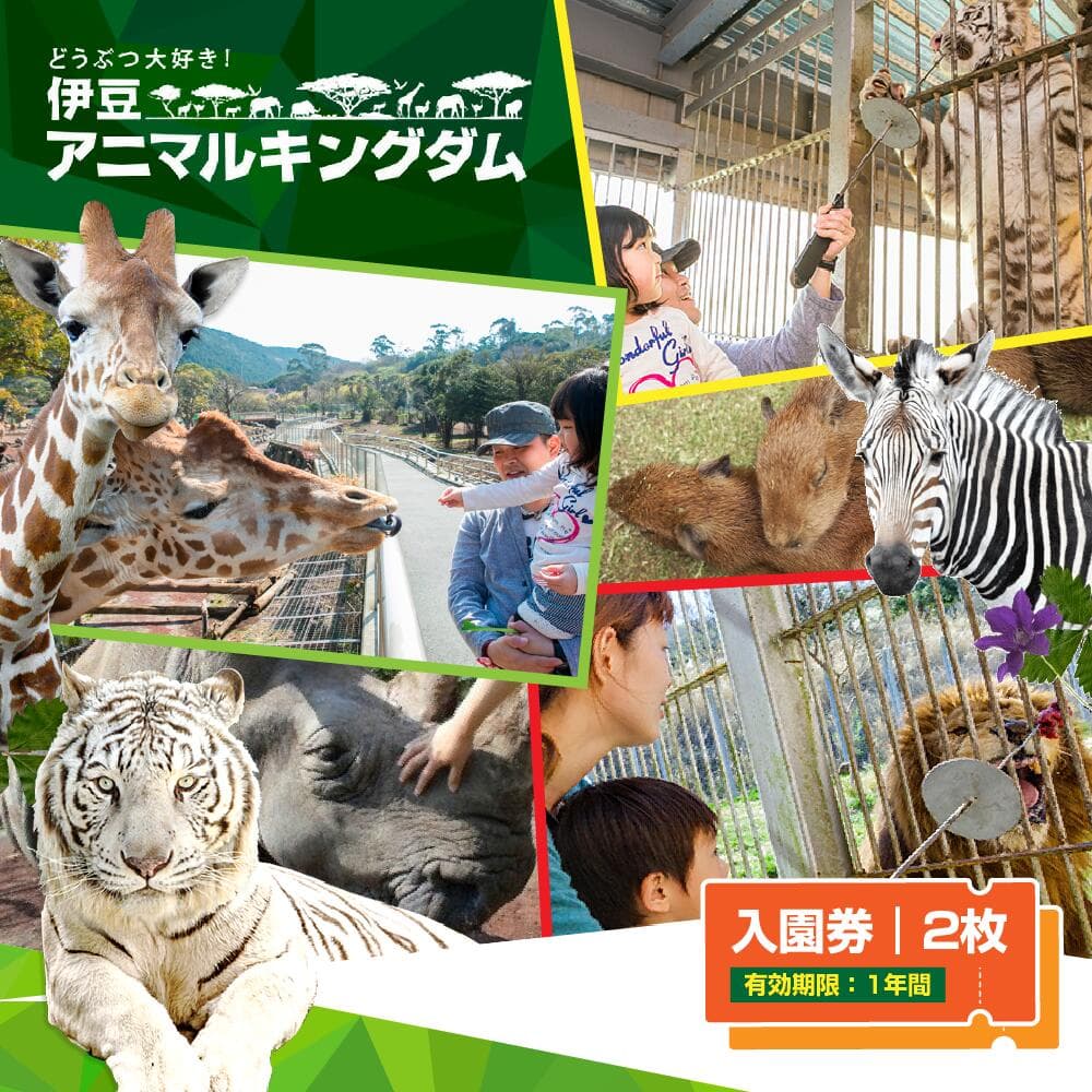 【ふるさと納税】伊豆アニマルキングダム 入園券 2枚 A003 ／ 動物園 チケット 招待券 静岡県 東伊豆町