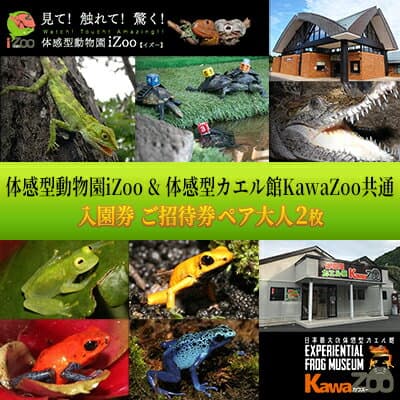 【ふるさと納税】動物園 イズー カワズー 大人 2枚 入園券 体験 体験型 ペアチケット チケット ギフト