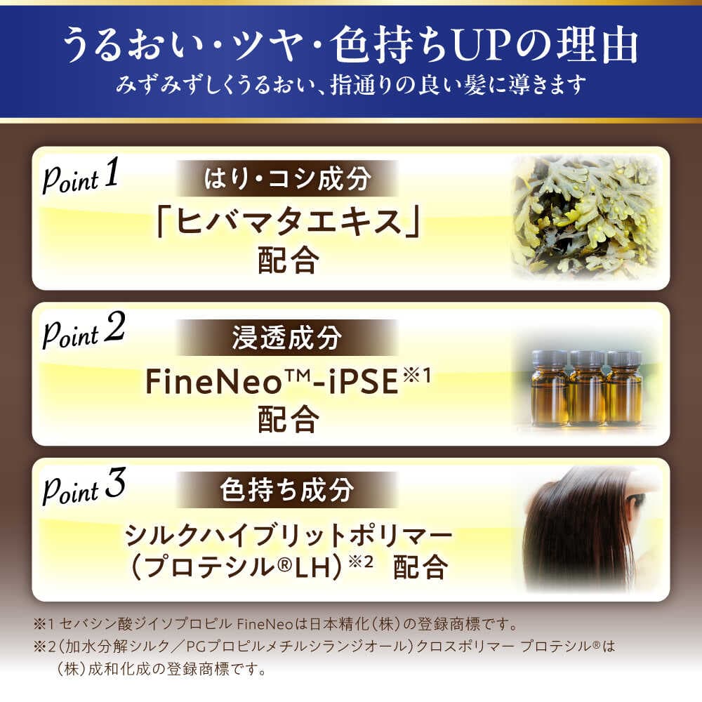 【ふるさと納税】【選べるカラー】 ダリヤ サロンドプロ カラーシャンプー・トリートメント 各3個セット＜ナチュラルブラウン/ダークブラウン/アッシュブラウン/ローズブラウン＞ / 稲沢市 / 日興商事株式会社[BMBK005] thumbnail 3