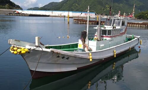 【ふるさと納税】太幸丸 遊漁船乗船券 乗り合い 1回分 イカメタル・バチコン （半夜便） ／ チケット 釣り フィッシング アウトドア 水洗トイレ 生簀 氷サービス有り レンタルタックル有り 三重県 大紀町